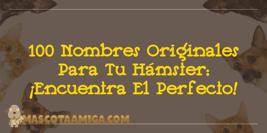 100 nombres para hamsters - Cómo elegir un nombre único para tu hámster