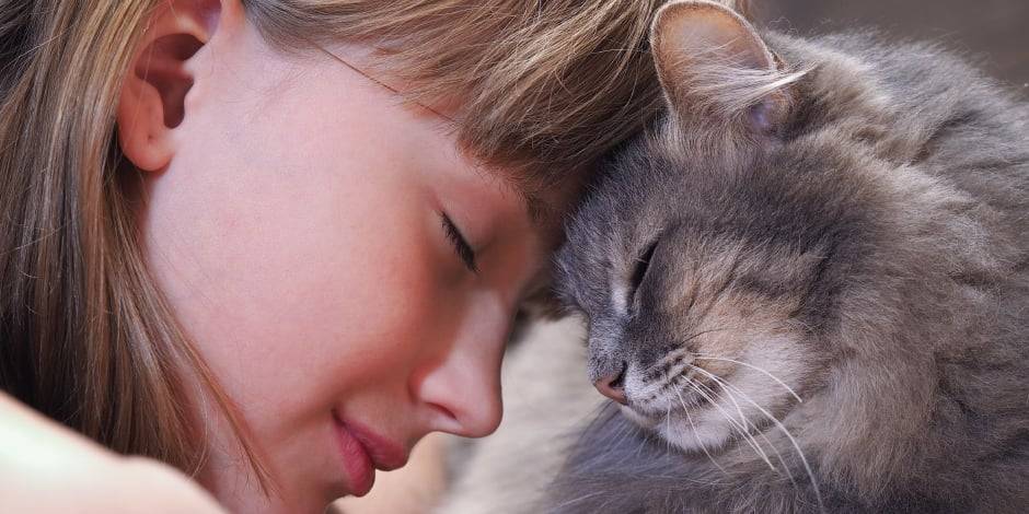 a los gatos le gustan los besos - Cuáles son las formas en que los gatos demuestran cariño