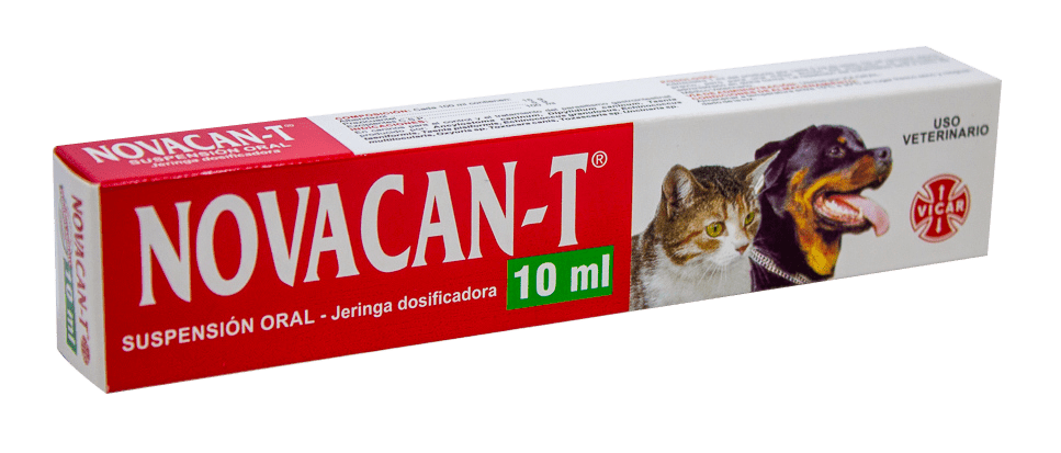 albendazol para gatos - Qué debes saber sobre el albendazol para gatos