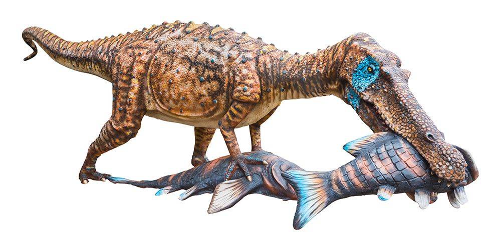 alimentacion dinosaurios - Qué comían los dinosaurios en la era prehistórica