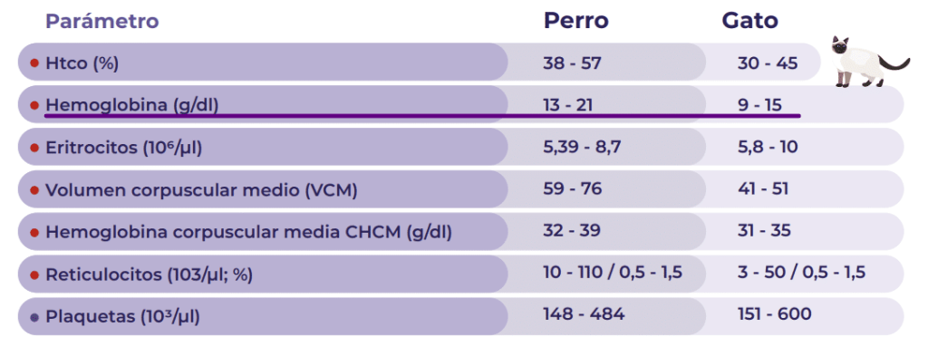 analitica perro - Analítica en perros: Guía para interpretar análisis de sangre