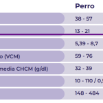 Analítica en perros: Guía para interpretar análisis de sangre