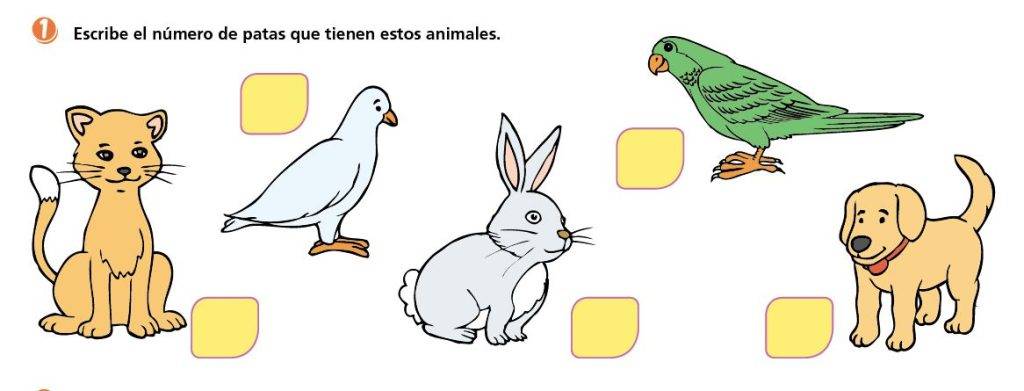 animal bipedo 1 - Qué es un animal bípedo y sus características principales