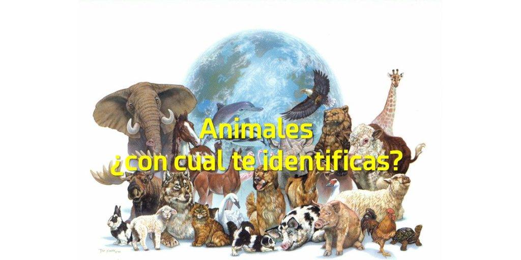 animal bueno - Qué tipo de mascotas puedes tener en casa