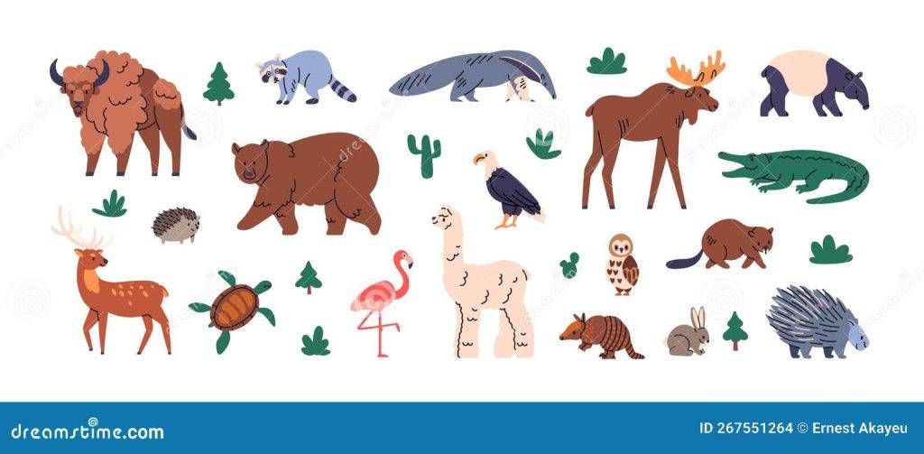 animales america 1 - Qué animales conforman la biodiversidad en América