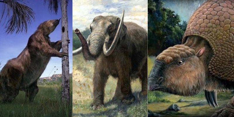 animales antiguos - Cuáles son los 10 animales más longevos del planeta