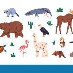 Conoces las especies emblemáticas de animales en EE. UU