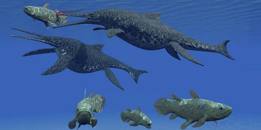 animales prehistoricos marinos - Conoces la historia de los animales marinos prehistóricos