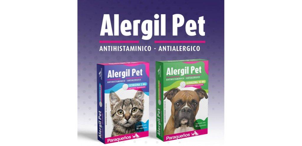 antihistaminico para gatos - Antihistamínicos para gatos: qué debes saber