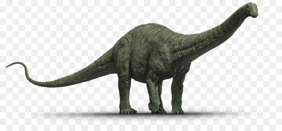 apatosaurus diplodocus - Dinosaurios de Cuello Largo: Características y Ejemplos