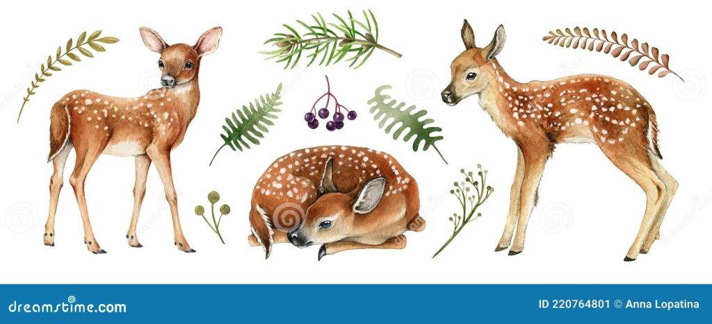 bambi animal - Bambi de Disney es un ciervo macho o hembra