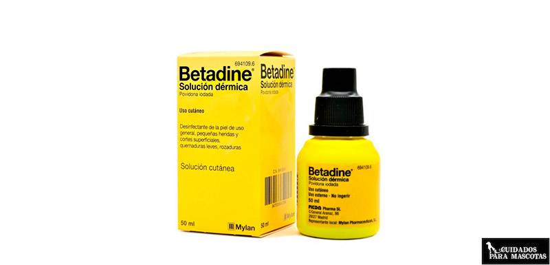 betadine en perros - Cómo usar Betadine en perros para heridas y hongos