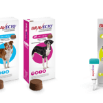 Bravecto para perros: Precio y efectos secundarios