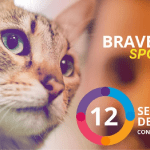 Qué debes saber sobre Bravecto para gatos