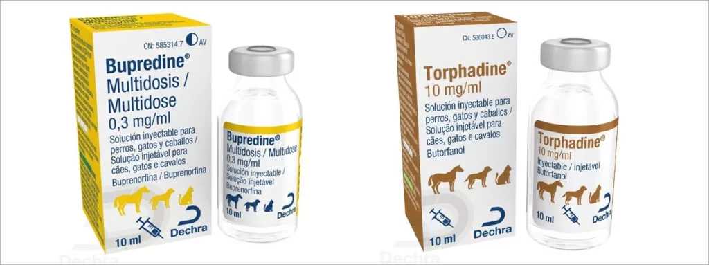 buprenorfina gatos dosis oral - Buprex para gatos: dosis, usos y efectos secundarios