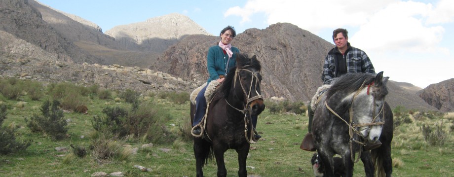 caballos cimarrones - Cuáles son los tipos de caballos cimarrones que existen en el mundo