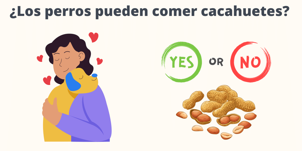 cacahuate en perros - Es seguro que los perros coman cacahuetes