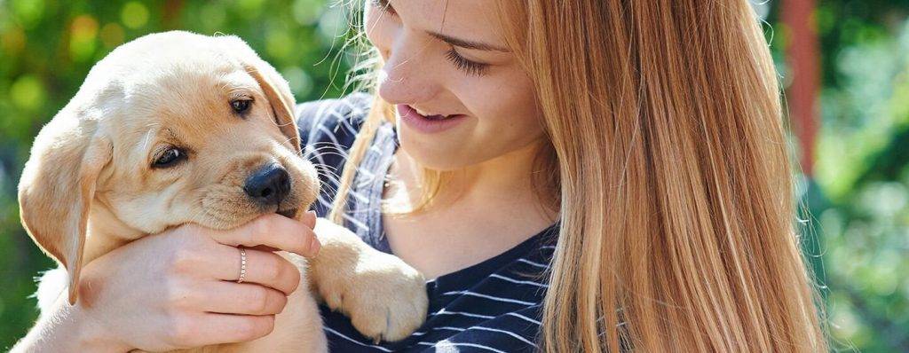 cachorro cuidados - Cómo cuidar a un cachorro en sus primeros días en casa