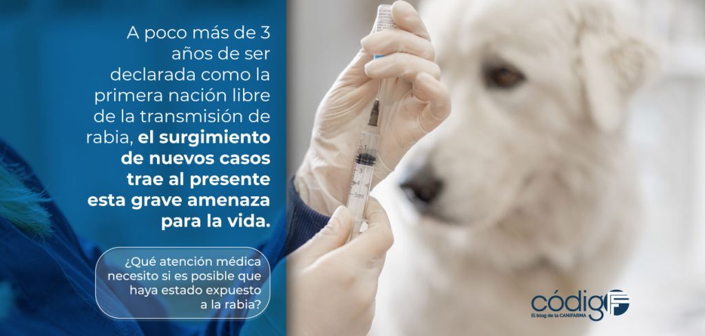 cada cuanto se pone la vacuna de la rabia - Qué debes saber sobre la vacuna antirrábica para tu mascota