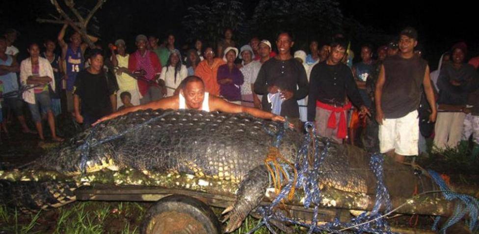 caiman mas grande del mundo 1 - Dónde se encuentra el caimán más grande del mundo