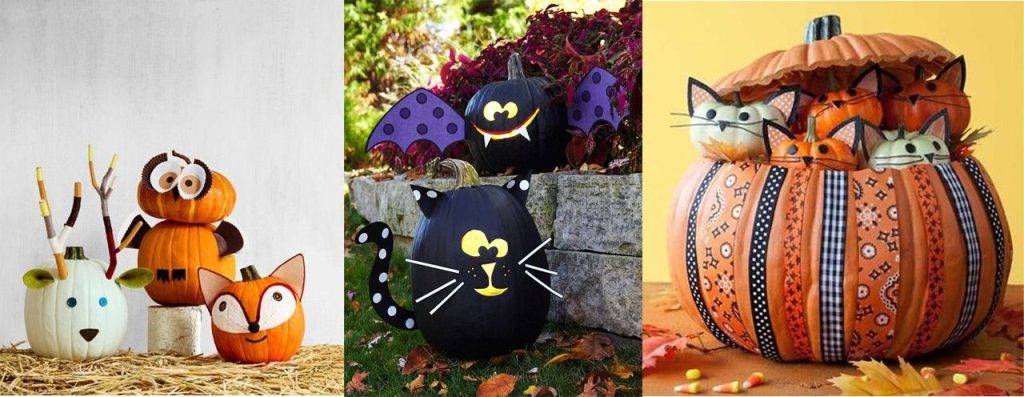 calabaza de gato - Es seguro que los gatos coman calabaza