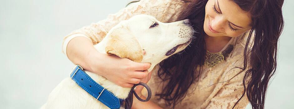 castrar perro sin quitar testiculos - Se puede castrar a un perro sin extirpar los testículos