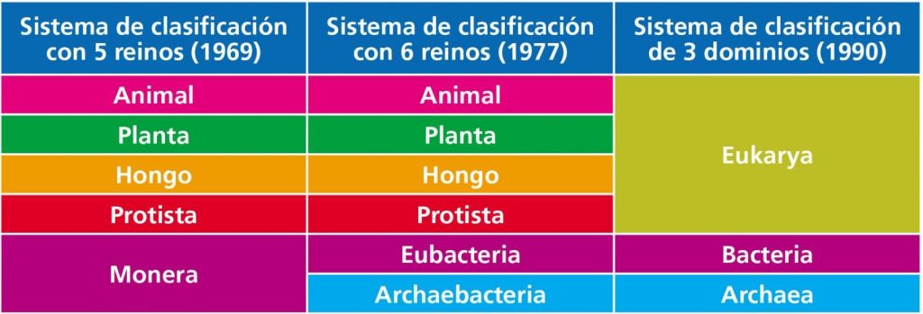 categoria taxonomica del perro - Cómo se clasifican las razas de perros según sus características