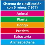 Cómo se clasifican las razas de perros según sus características