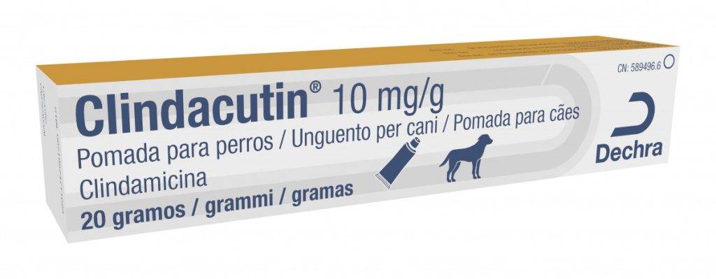 clindamicina en perros - Clindamicina en perros: dosis, usos y efectos secundarios