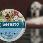 Scalibor o Seresto: cuál collar es mejor para tu mascota