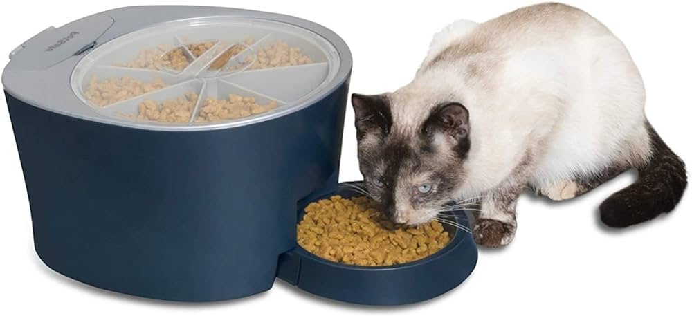 comida de gatos para perros - Los perros pueden consumir comida de gato de forma segura