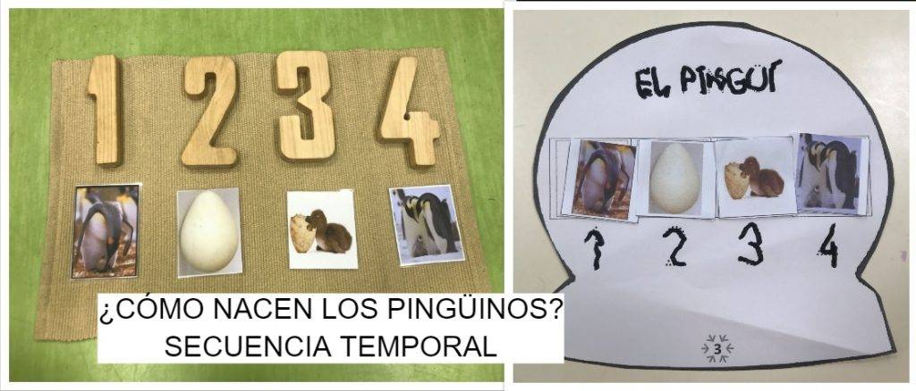 como nacen los pinguinos - Cómo se produce el nacimiento de los pingüinos