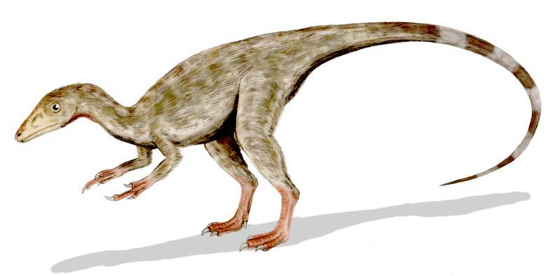 como se llama el dinosaurio mas pequeno - Cuáles son los dinosaurios más pequeños del planeta