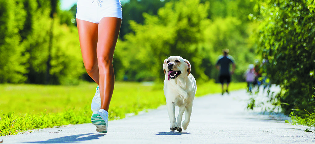 correr perro - Cómo hacer que tu perro sea tu compañero de running