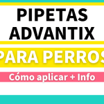 La pipeta antiparasitaria se seca rápido tras mojarse