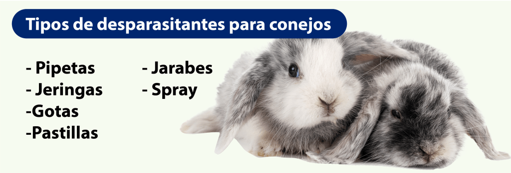 desparasitacion conejos - Desparasitación en conejos: qué productos con fenbendazol usar