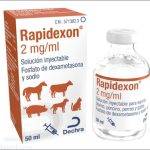 Dexametasona en perros: dosis, usos y efectos secundarios