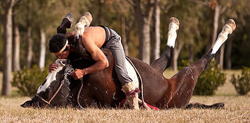 doma india - Qué es la doma india para equilibrar jinete y caballo