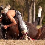 Qué es la doma india para equilibrar jinete y caballo