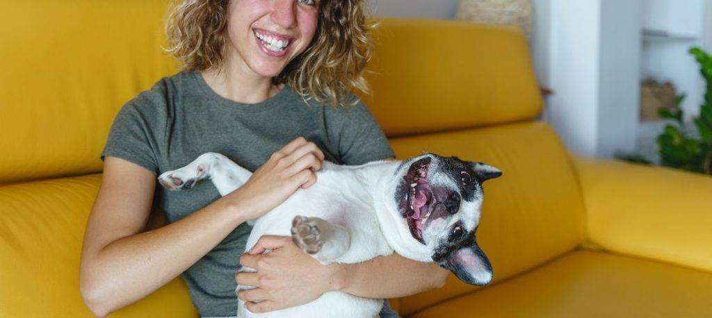 donde tienen cosquillas los perros 1 - En qué partes del cuerpo de los perros sienten cosquillas