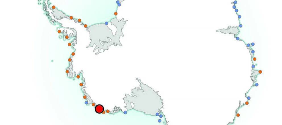 donde viven los pinguinos mapa - Cuál es la ubicación de los pingüinos en un mapa