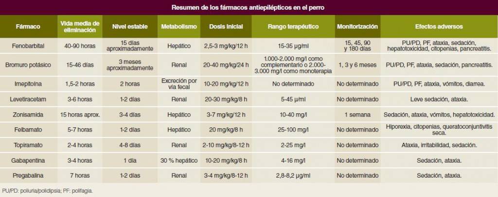 dosis gabapentina perro - Dosis de Gabapentina en Perros y precauciones veterinarias