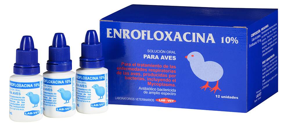 enrofloxacina en perros - Qué dosis y usos tiene el enrofloxacino en perros