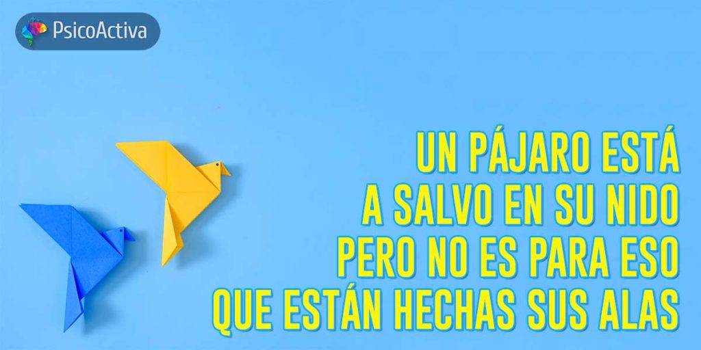 frases de pajaros - Quieres reír Descubre las frases más graciosas de los pájaros