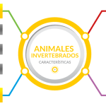 Cómo se llevan a cabo las funciones vitales en los animales