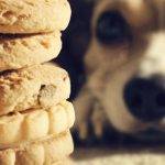 Recetas de galletas caseras para perros