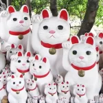 Necesitas inspiración para nombres japoneses para tu gato