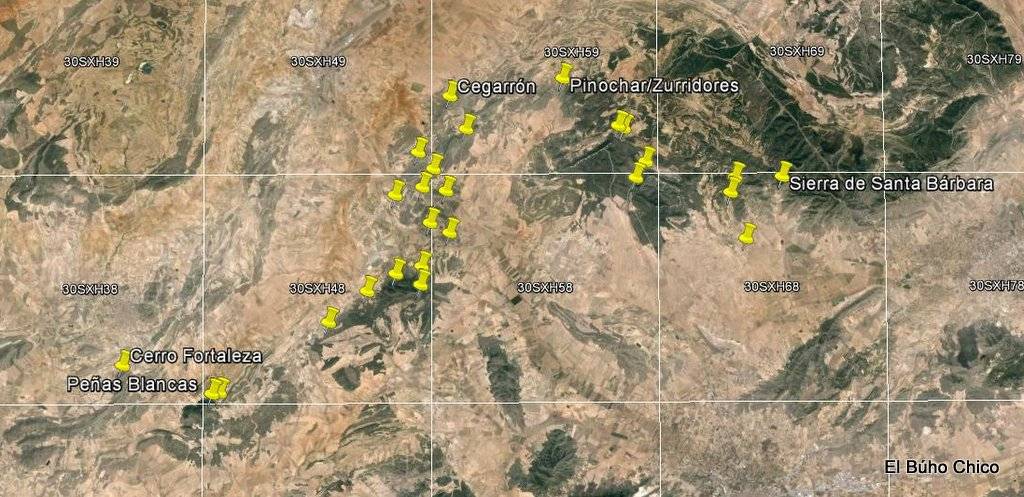 gato montes espana mapa - En qué regiones de España se encuentra el gato montés distribuido