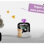 Es seguro alimentar a los gatos con yogur