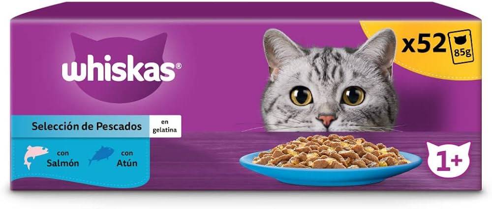 gelatina gatos - Los gatos pueden comer gelatina de forma segura